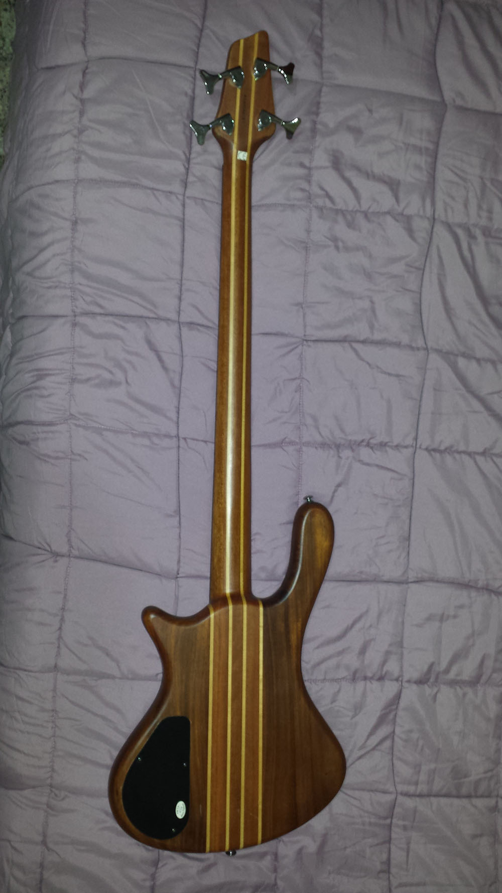 Bajo Washburn 2